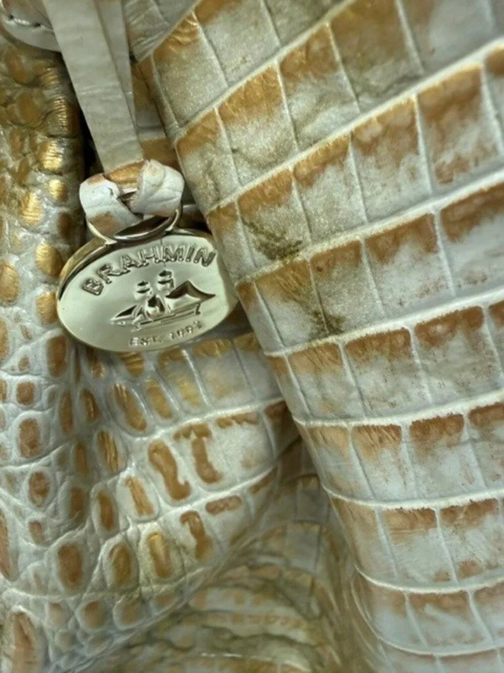 Brahmin chic python